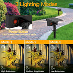 Ollny Solar Spot Lights for Driveway, Garden, Walkway (Warm White, IP65 Waterproof)
