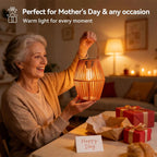 Ollny Solar Lanterns, Mothers Day Gifts, Birthday Presents for Pathway, Poolside, Festoon (IP44 Waterproof)