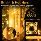 Ollny 50 LEDs 5m Warm White Room Fairy Lights (Cooper Wire, Battery Operated)