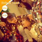 Ollny Warm White Fairy Lights 10m 100 LED(Green Cable, IP44 Waterproof, Battery Powered, 8 Modes)