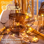 Ollny Warm White Fairy Lights 10m 100 LED(Green Cable, IP44 Waterproof, Battery Powered, 8 Modes)
