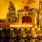 Ollny 600 LED 9m Christmas Warm White Cluster Lights (Green Cable, Plug in, 8 Modes)
