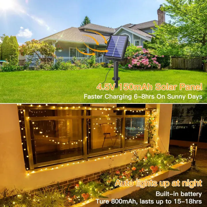 Ollny Warm White Globe Solar Garden Lights(Green Cable, Solar Power, 8 Modes)