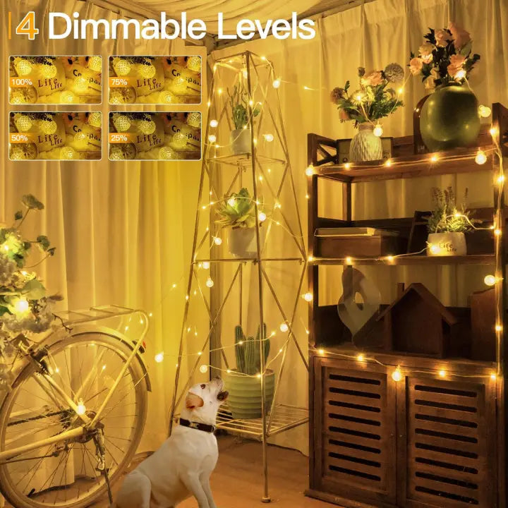 Ollny G29 Globe Fairy Lights (8 Modes, IP67 Waterproof, 2700k)