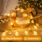 Ollny Outdoor Globe Fairy String Lights (Warm White, Plug in, 8 Modes, IP44 Waterproof)