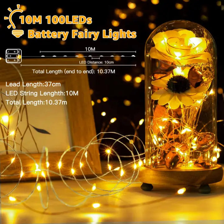 Ollny 100 LEDs 10m Warm White Room Fairy Lights (Copper Wire, Battery Operated)