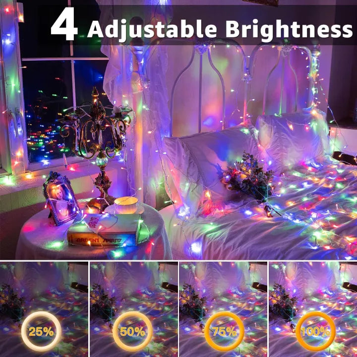 Ollny Multicolored Christmas lights with 4 adjustable brightness
