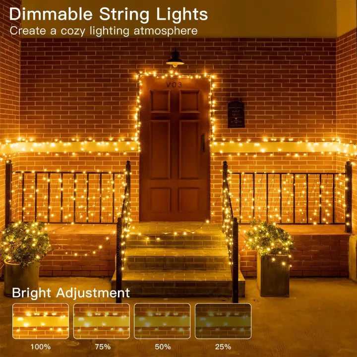 garden lights for christmas have 4 brightness levels