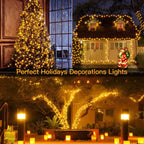 Ollny 300 LED 30m Warm White Christmas String Lights (Clear Cable, Plug in, 8 Modes)